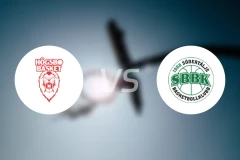 候格斯堡女篮vs南泰利耶女篮比分预测【2025/11/22】