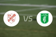 SV埃尔巴赫vs贡德尔芬根比分预测【2026/04/25】
