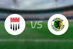 巴斯城vs霍舍姆比分预测【2025/11/01】