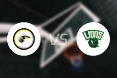 延纳斯多夫vs多恩比恩狮子比分预测【2025/12/09】