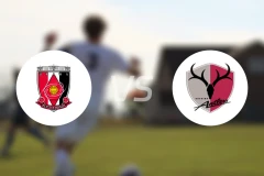 浦和红钻vs鹿岛鹿角比分预测【2026/02/28】