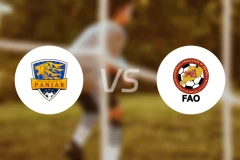 旁遮普FAvsFC奥里萨邦比分预测【2026/01/31】