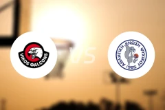 维科斯vs皮斯奇科比分预测【2026/02/12】