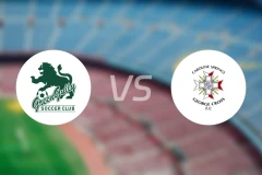 格林古利vs卡罗琳比分预测【2026/02/20】