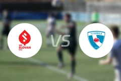 斯洛云卢布尔雅那vs戈里察比分预测【2026/04/25】