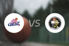 爱信飞翼女篮vs山梨县蜂王女篮比分预测【2026/03/20】