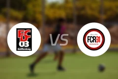 迪弗当日vs罗当治比分预测【2025/11/06】