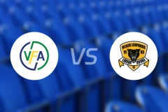 文达vs利奥帕德比分预测【2025/11/21】