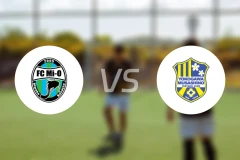 滋贺湖王vs横河武藏野FC比分预测【2024/10/20】