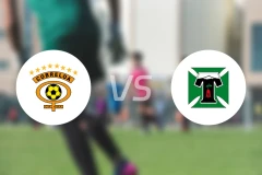 科布雷洛vs迪帕特斯比分预测【2026/02/24】