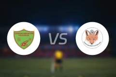 雅温得加农炮vs施塔德勒纳尔比分预测【2026/01/25】