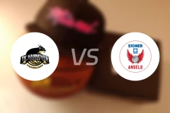 TK汉诺威女篮vs艾格纳天使女篮比分预测【2026/01/18】