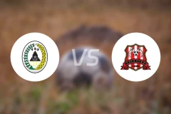 斯莱曼vs德尔特雷斯比分预测【2026/02/14】