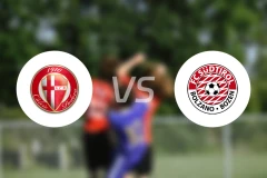 帕多瓦vs南蒂罗尔比分预测【2025/11/01】