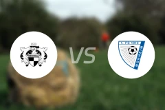 VFB希尔顿vs蒙海姆比分预测【2024/10/17】