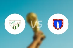 桑塔阿玛利亚vs普埃夫洛努埃沃比分预测【2026/01/19】