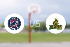 香港金牛vs上海玄鸟录像回放【2025/12/24】