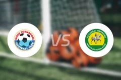 尼日尔FCvs卡内米勇士比分预测【2025/12/14】