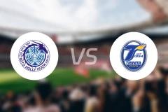 水户蜀葵vs大分三神比分预测【2025/11/29】