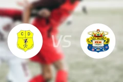 圣米格尔CDvs拉斯帕尔马斯C队比分预测【2026/01/11】