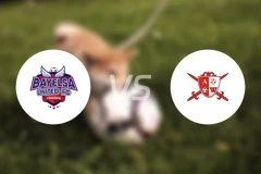 巴耶尔萨联vs阿比亚勇士比分预测【2025/11/16】