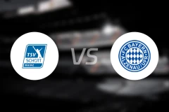 肖特美因茨vs艾泽奴比分预测【2025/11/22】