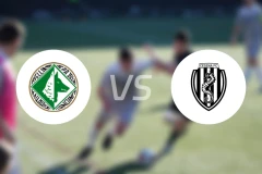 阿维利诺vs切塞纳比分预测【2026/01/31】