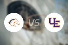 得州大学阿灵顿分校vs埃文斯维尔大学比分结果战报【2025/11/19】