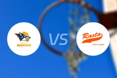 罗斯托克vs维切塔比分预测【2025/11/22】