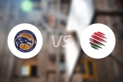 苏杜明斯克vs戈梅尔比分预测【2025/11/16】