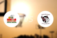 希尔斯黄蜂女篮vs曼利海鹰女篮比分预测【2026/04/10】