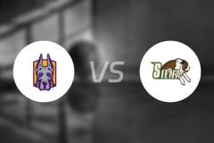 纽州大阿尔巴尼分校vs锡耶纳学院比分结果战报【2025/11/22】