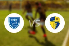 维利法兰vs布里欧齐比分结果战报【2025/11/08】