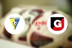 拉夫尼茨vs古尔腾比分预测【2026/03/14】