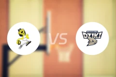 杜布拉瓦vs华斯基比分预测【2026/02/04】