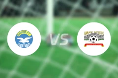 FC宾高vs安纳比分预测【2024/10/19】