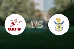 卡尔顿斯vs艾维利比分预测【2025/11/15】