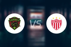 华雷斯vs内卡萨比分预测【2026/02/15】