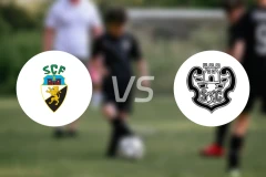 法鲁人vs锡尔维斯比分预测【2025/11/23】