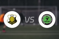 费瓦德vsSV登豪斯比分预测【2025/12/06】