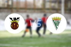 塞尔帕vs阿尔科切坦斯比分预测【2026/01/10】