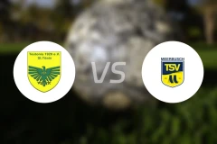 条顿尼亚通尼斯vsTSV梅尔布施比分预测【2026/04/12】