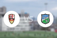 UD洛哥尼斯Bvs贝赛欧比分预测【2024/10/19】