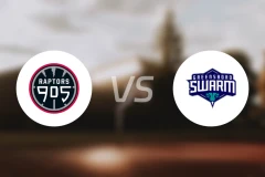 猛龙905vs格林斯伯勒蜂群比分预测【2025/11/20】