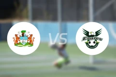 弗里敦市vs坎博伊老鹰比分预测【2026/02/08】