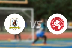 淡滨尼流浪者vs幼狮队比分预测【2026/01/16】