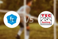 登兹林根vsTSG巴克南比分预测【2026/04/18】