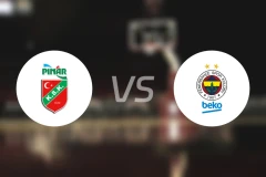 皮纳尔vs费内巴切比分预测【2026/01/31】