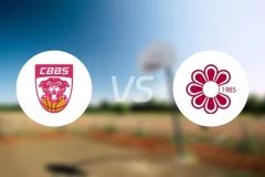 查内勃艮第南部女篮vs波德鲁姆女篮比分预测【2024/11/28】