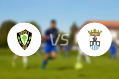 格尼卡vs纳塞拉比分预测【2026/03/22】